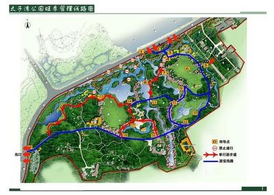今年去太子灣公園賞櫻觀郁金香要提前預約!預約分上下午場,每場人數(shù)5000