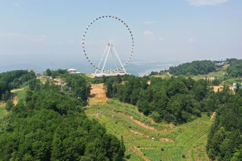 美心紅酒小鎮(zhèn)入選全國(guó) 萬(wàn)企興萬(wàn)村 行動(dòng)優(yōu)秀案例庫(kù)第一批擬入庫(kù)案例名單