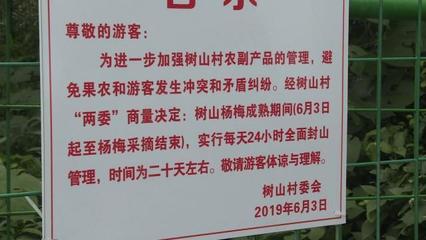 再過5天,樹山楊梅上市!果實(shí)很誘人,但請(qǐng)不要隨意采摘哦
