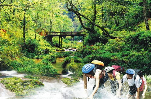 國(guó)內(nèi)游 十月,桂林漓江山水 千姿百態(tài)的潑墨水彩畫