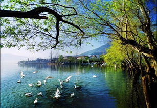 引以為鑒，刀刃向內——邛瀘景區質量提升會后管理優化紀實