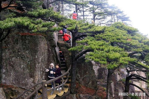 三十八歲未婚女性的人生新篇章 在自我探索與景區管理中尋找平衡